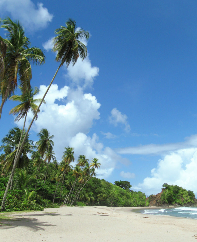 View of Toco Beach, Trinidad and Tobago