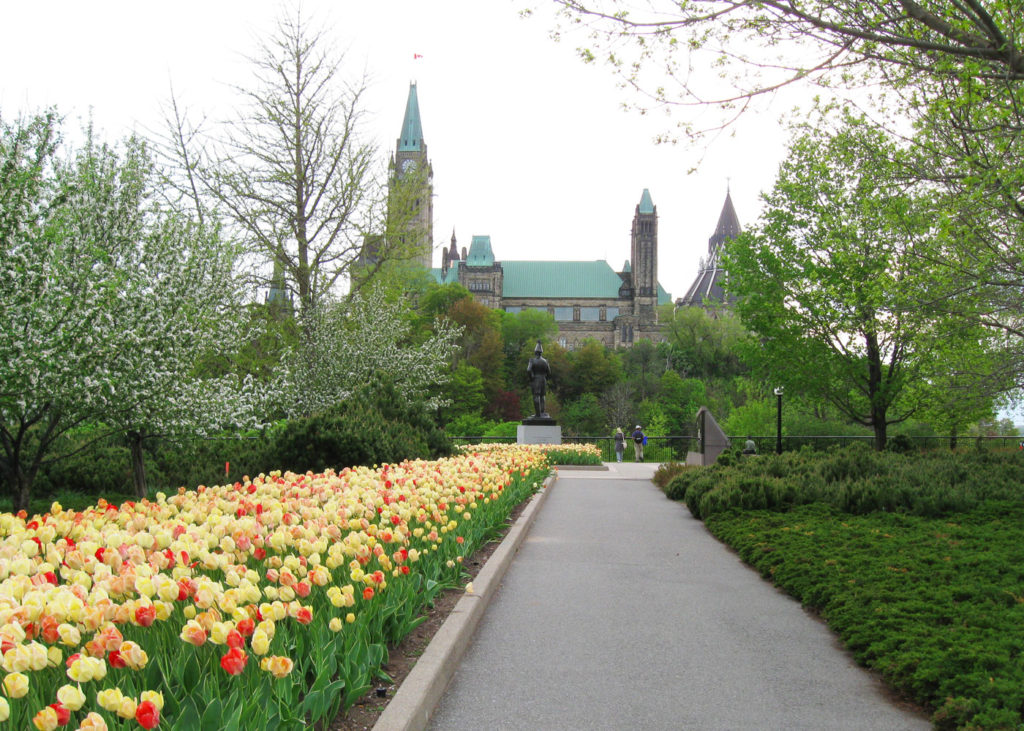 View of the Peace Tower of Parliament of Canada in spring, Ottawa
