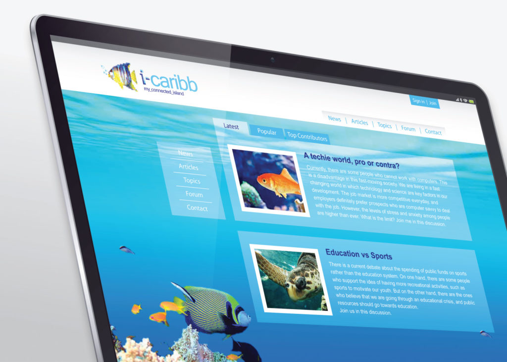 I-Caribb Website Detail