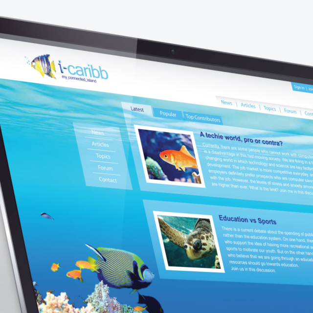 i-Caribb Website Detail