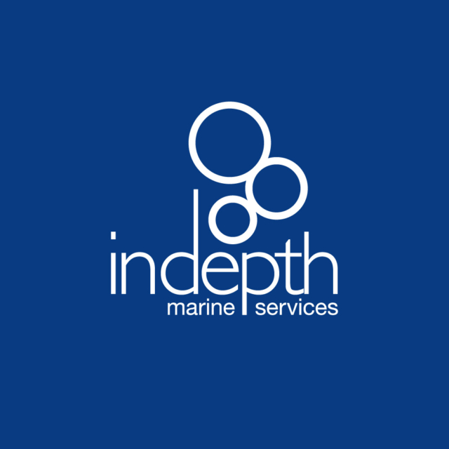 Indepth Logo Reverse